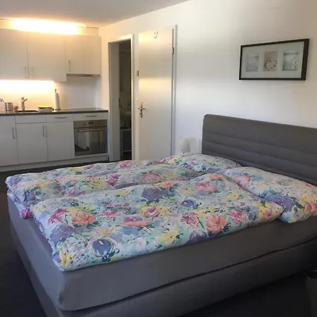 Apartment Fewo-studio Linde *